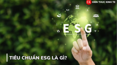 Tiêu chuẩn ESG là gì?