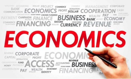 Ngành kinh tế gồm những ngành nào? Tất tần tật thông tin về ngành kinh tế cho các sĩ tử