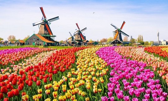 7 sự thật thú vị về Hà Lan, đất nước đi trước nhân loại hơn 50 năm